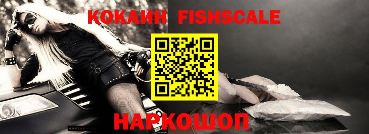 Елизово  COCAIN Эквадор  Вход с VPN  Cocaine Fish Scale 