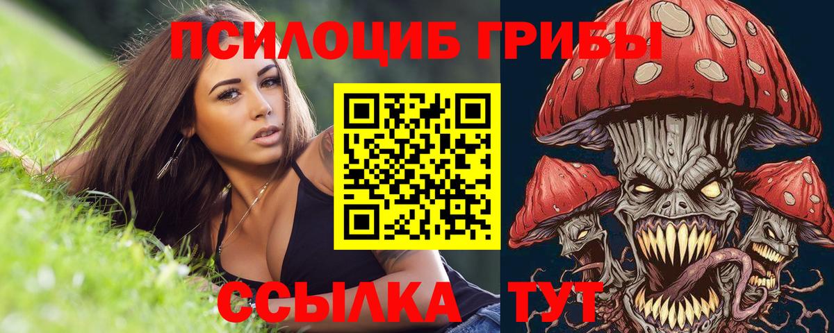 Галлюциногенные грибы Psilocybe  Галлюциногенные грибы Cubensis  Вход с VPN  Елизово 