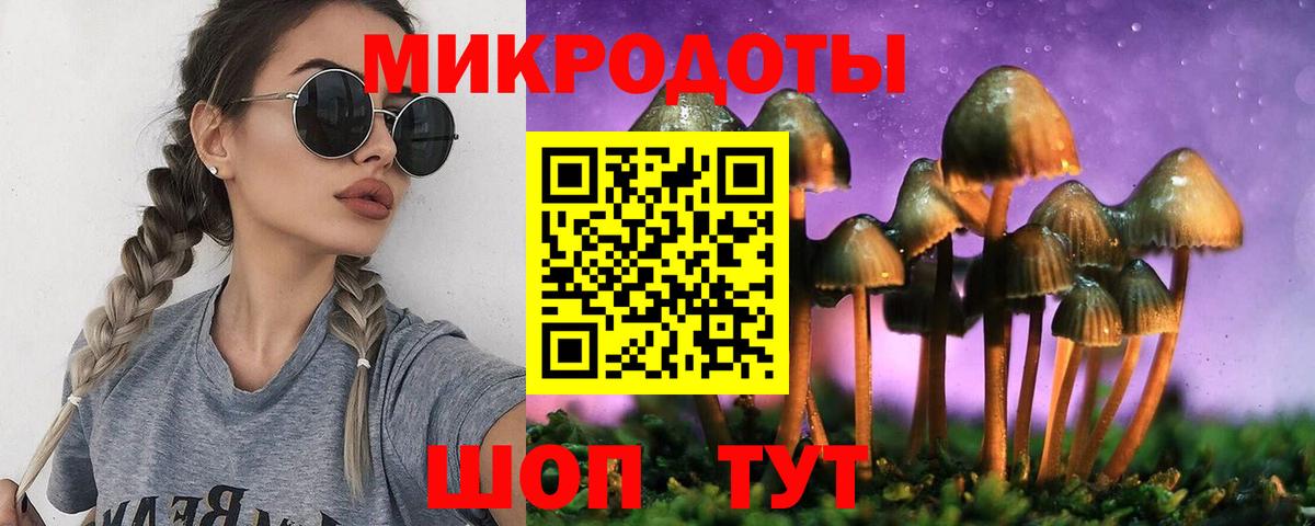 Галлюциногенные грибы Psilocybine cubensis Елизово